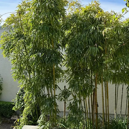 Apartmán E&E Appartement